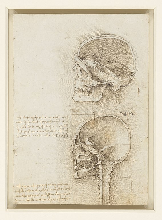 #135 - Senso Comune  - Leonardo da Vinci Part 25