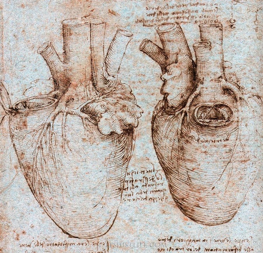 #167 - Leonardo’s Heart (Leonardo 55) fixed